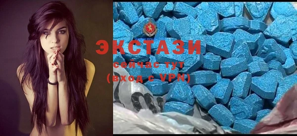 ECSTASY Богданович